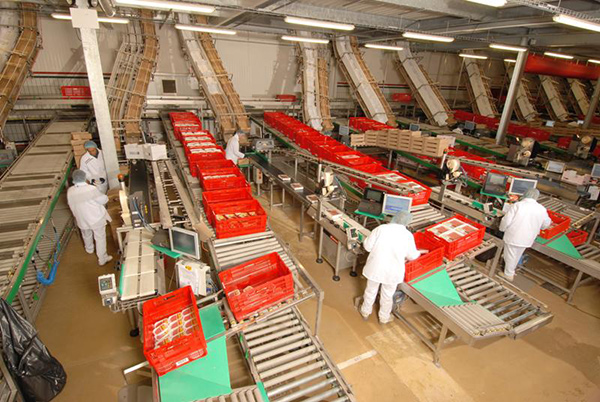 Empty cartons distribution