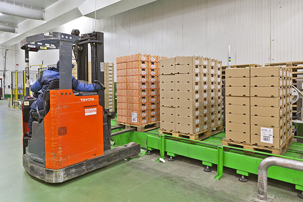 Pallet conveyors