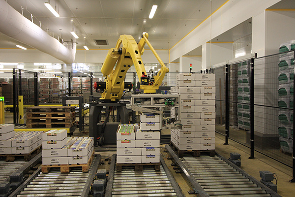 Robotic palletization